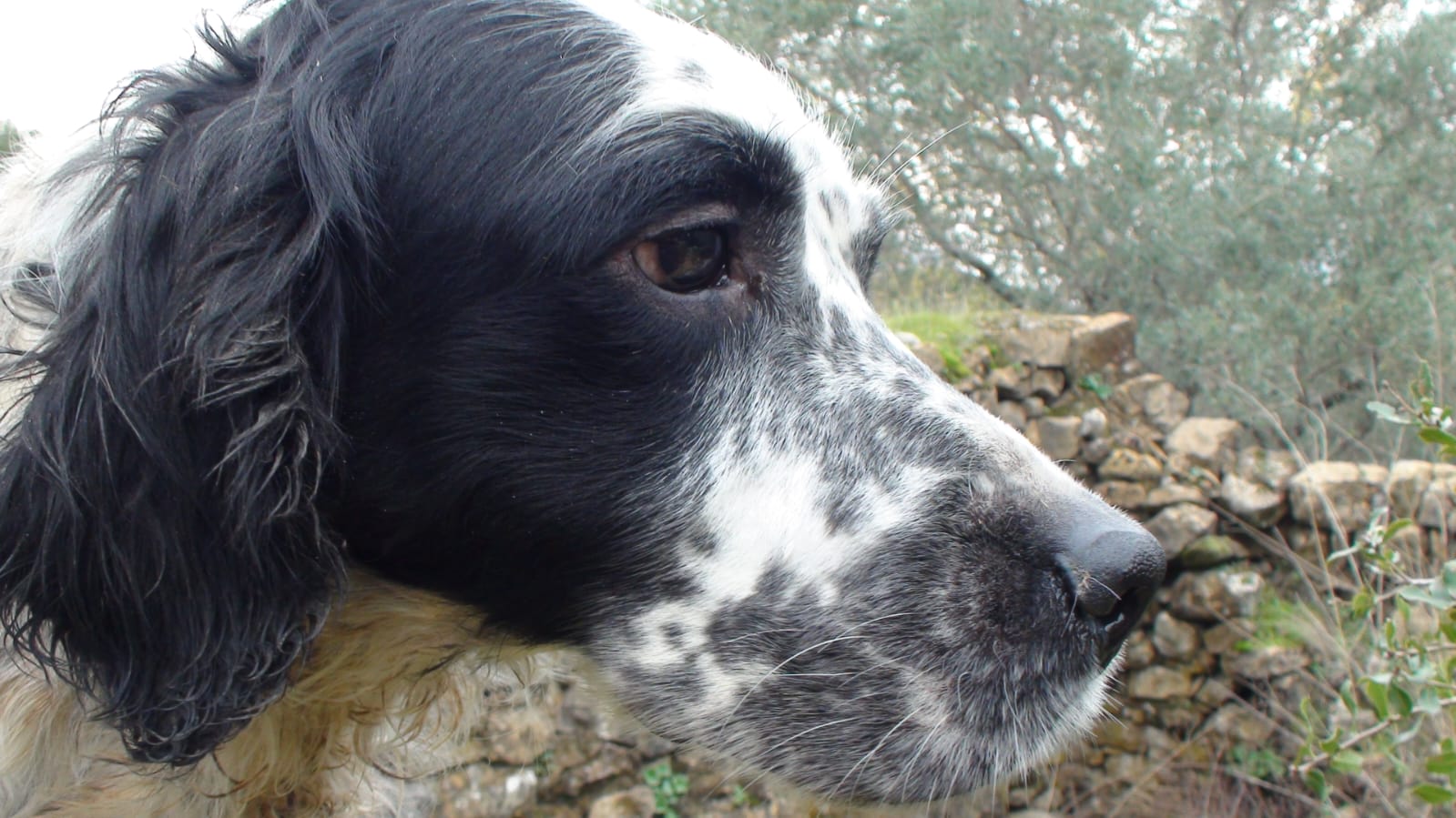 WhatsApp Image 2024-11-24 at 13.35.24