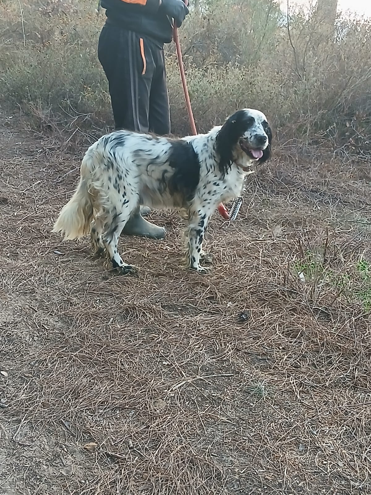 WhatsApp Image 2025-11-05 at 19.34.50