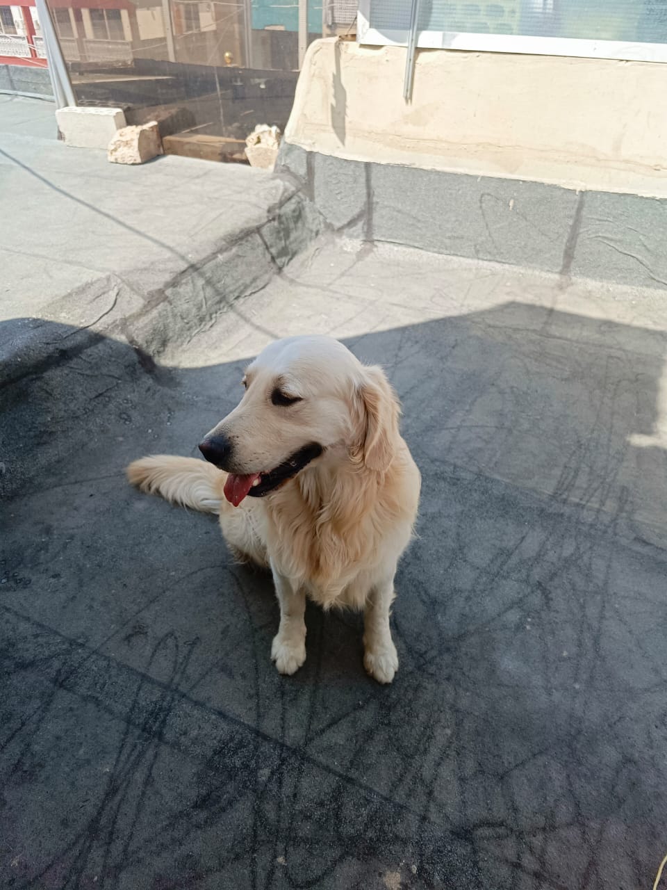 WhatsApp Image 2025-05-09 at 13.46.09 (1)