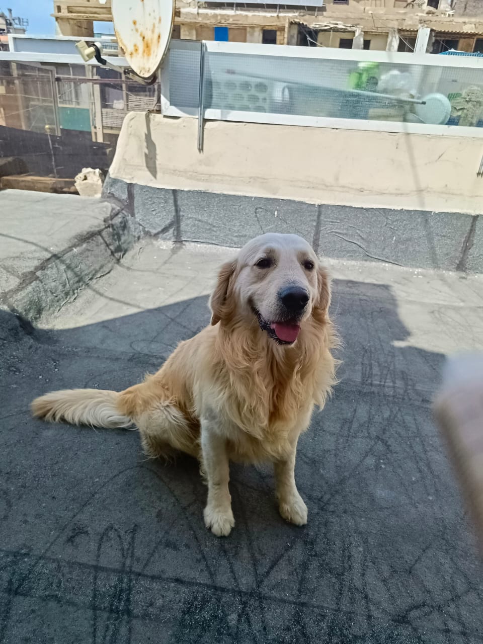 WhatsApp Image 2025-05-09 at 13.46.09 (2)