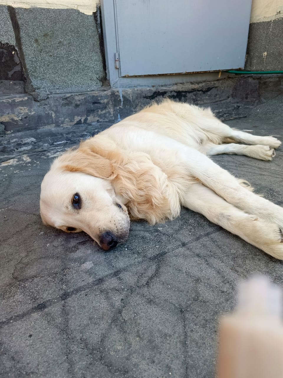 WhatsApp Image 2025-05-09 at 13.46.10 (1)