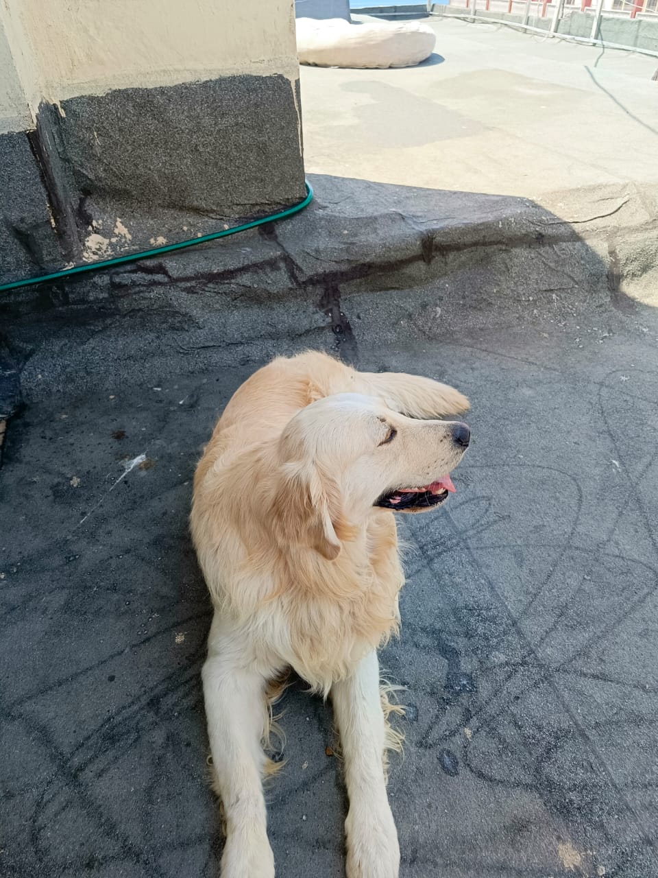 WhatsApp Image 2025-05-09 at 13.46.12 (1)