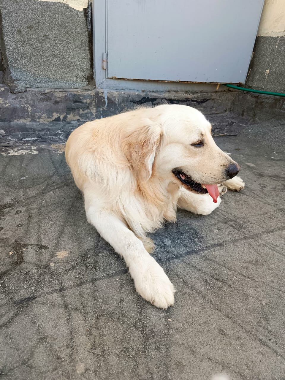 WhatsApp Image 2025-05-09 at 13.46.12 (2)