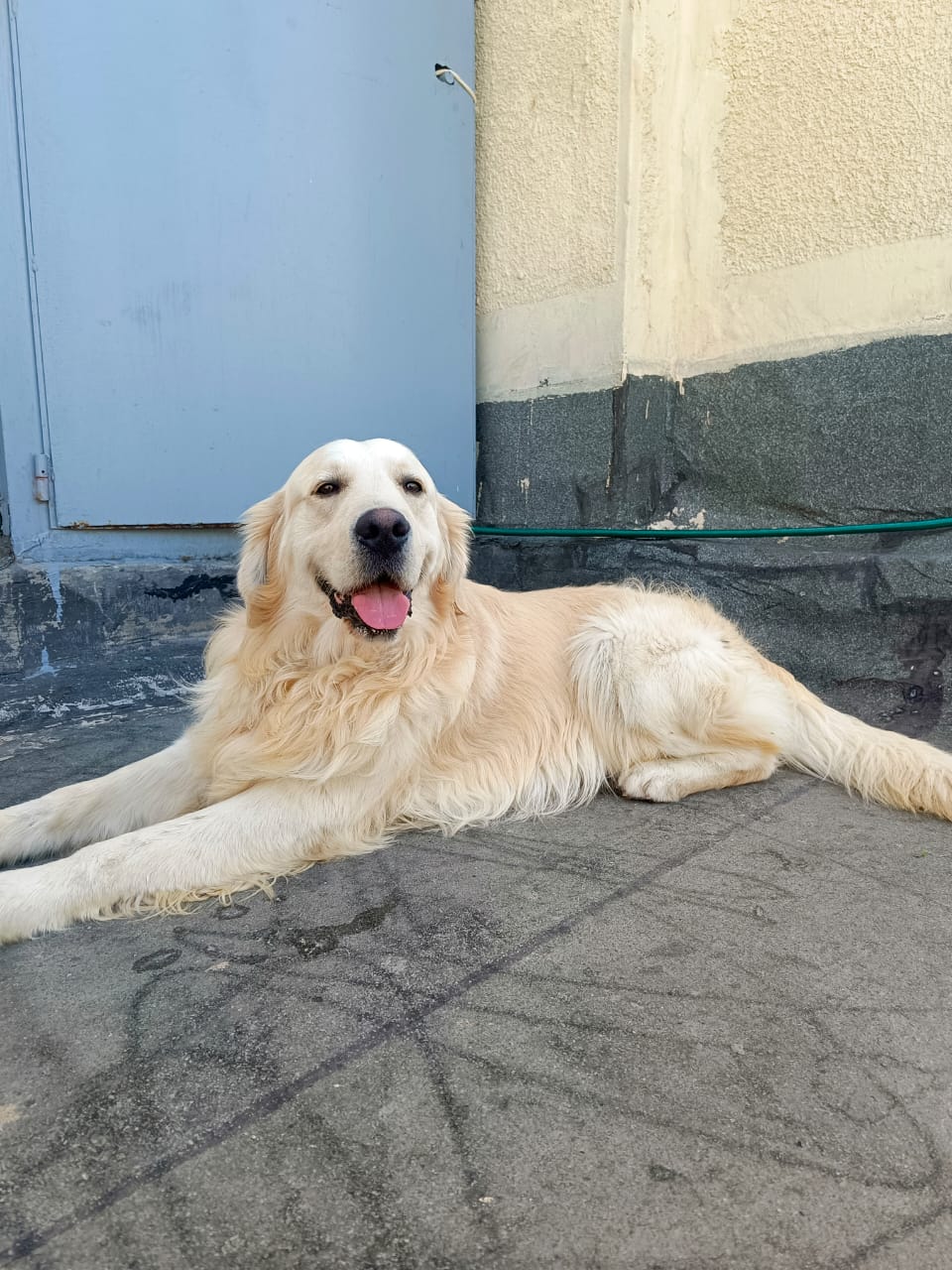 WhatsApp Image 2025-05-09 at 13.46.12