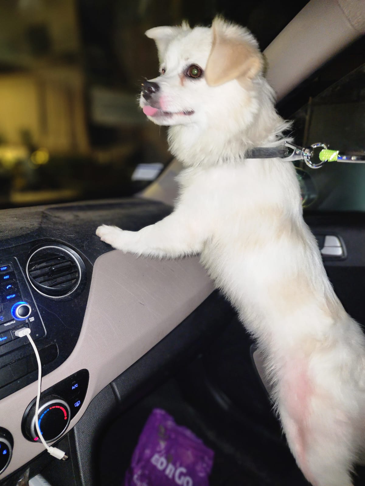 WhatsApp Image 2025-09-18 at 14.16.51 (2)