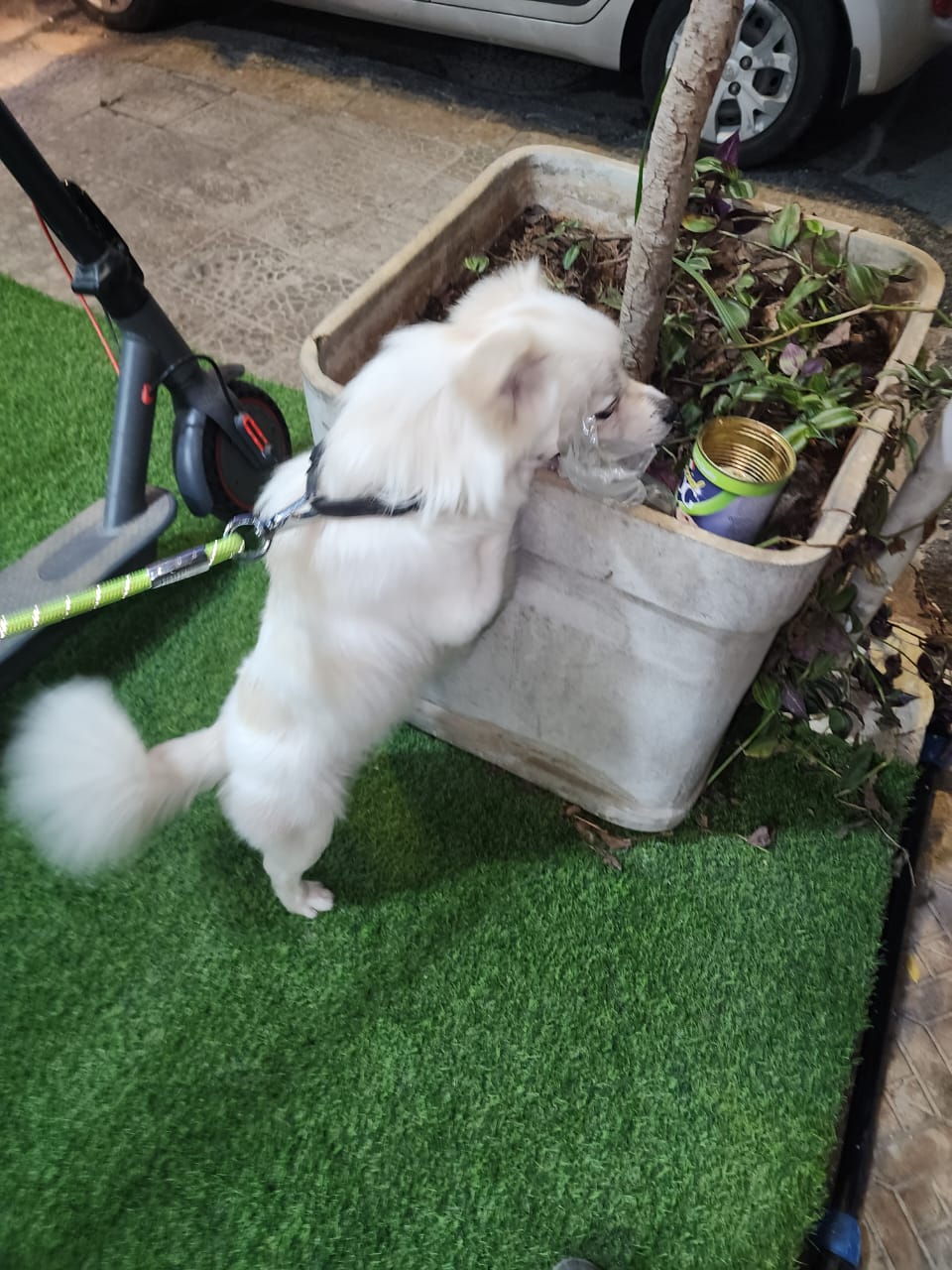 WhatsApp Image 2025-09-18 at 14.16.51 (3)