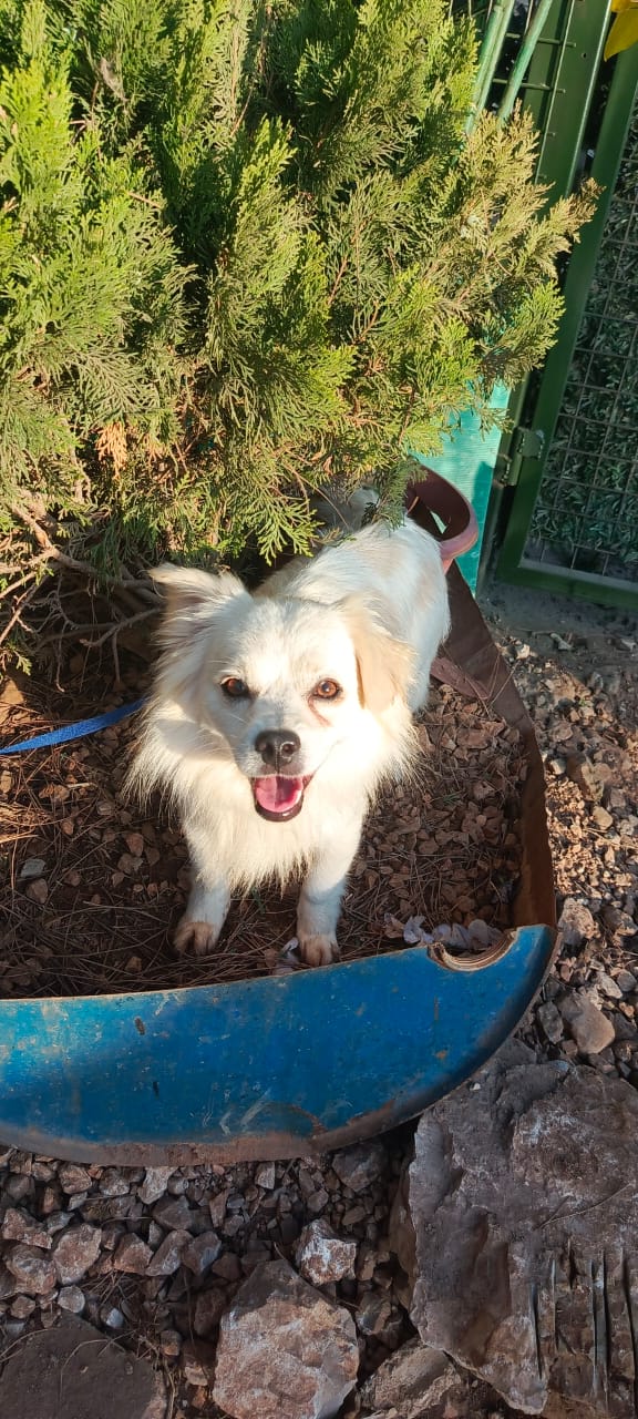 WhatsApp Image 2025-09-18 at 14.16.51