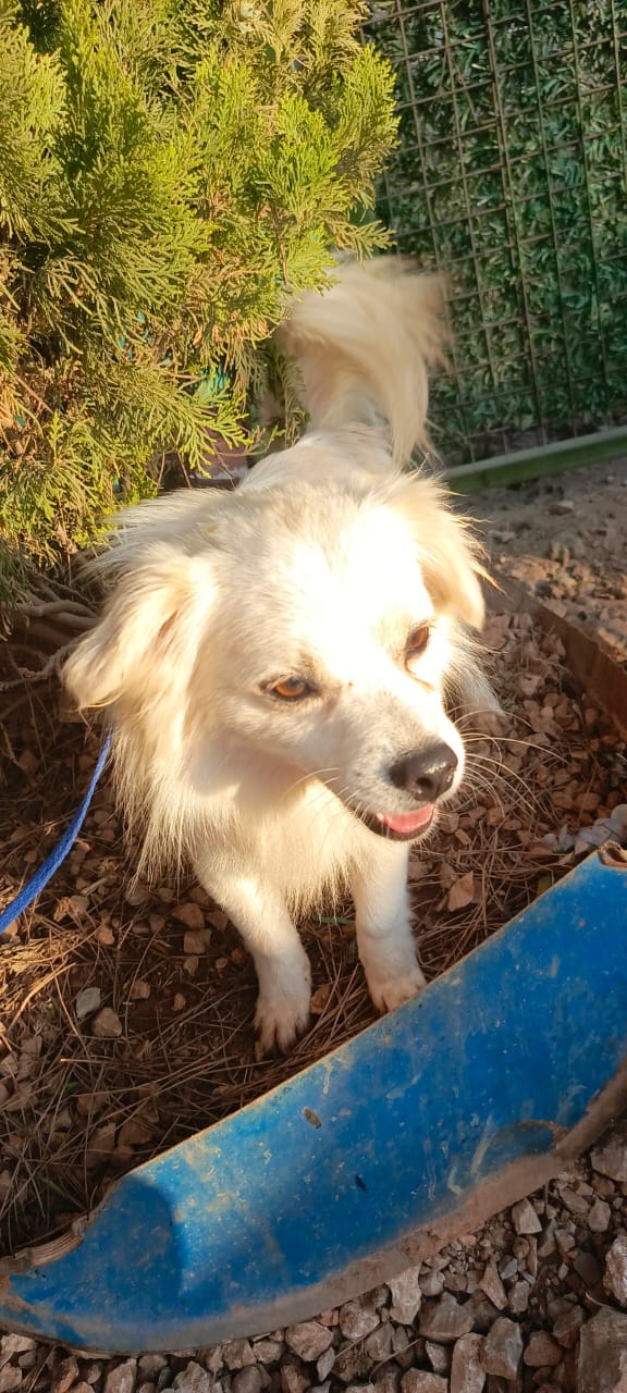 WhatsApp Image 2025-09-18 at 14.16.52 (1)