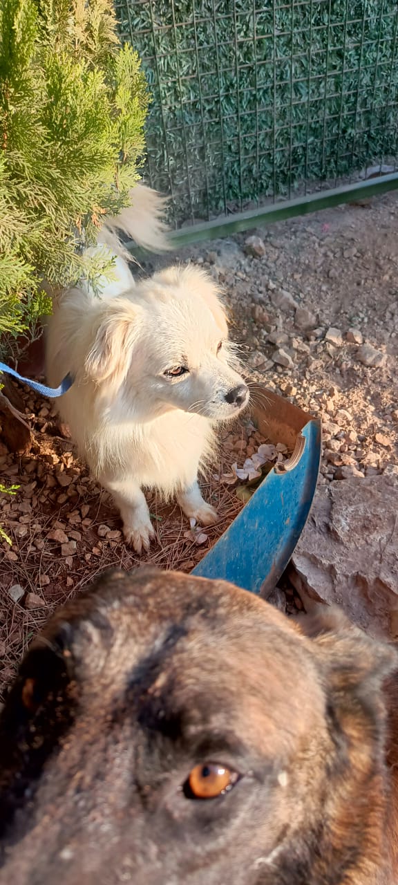 WhatsApp Image 2025-09-18 at 14.16.52