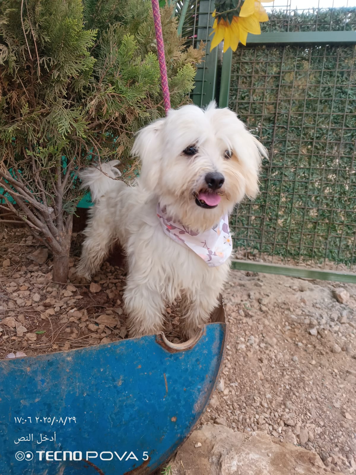 WhatsApp Image 2025-09-18 at 14.24.29