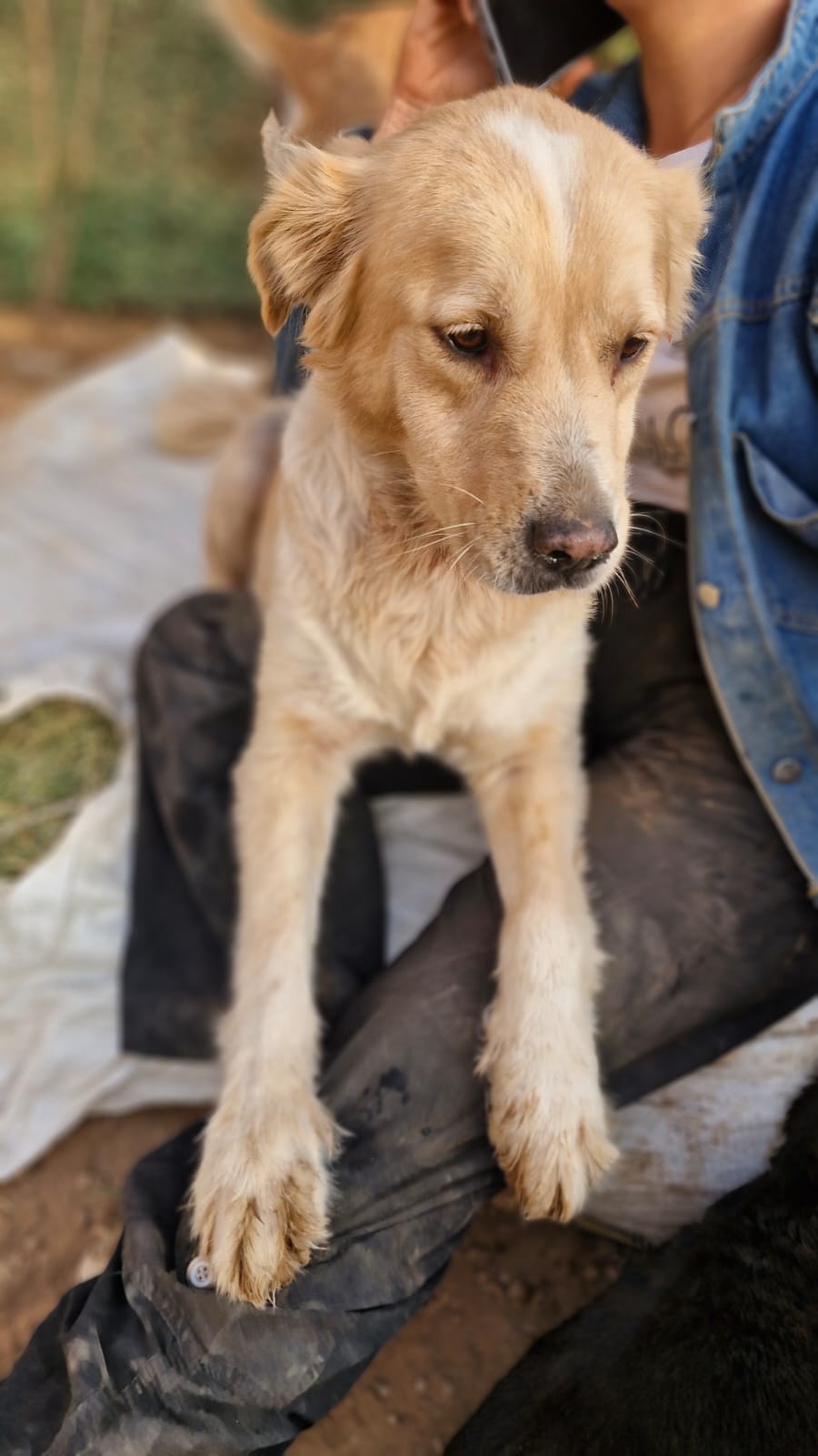 WhatsApp Image 2025-09-20 at 00.49.36 (2)