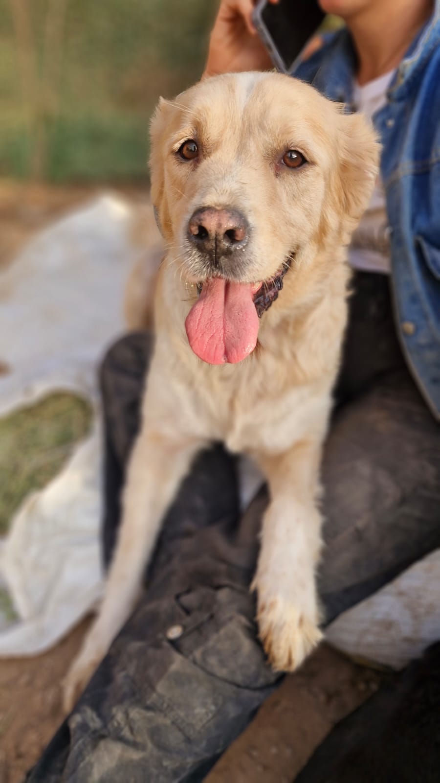 WhatsApp Image 2025-09-20 at 00.49.36 (3)