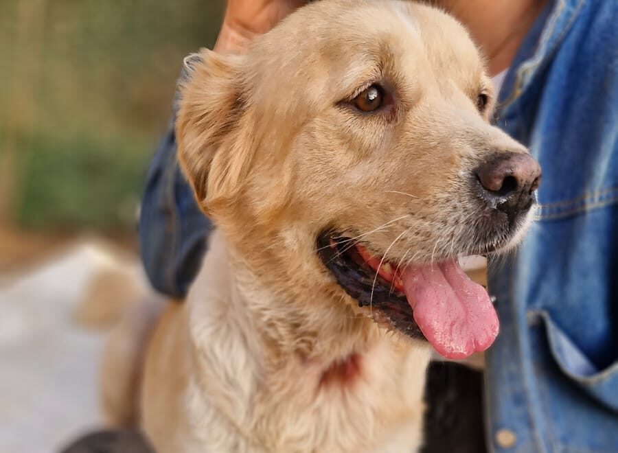 WhatsApp Image 2025-09-20 at 00.49.36