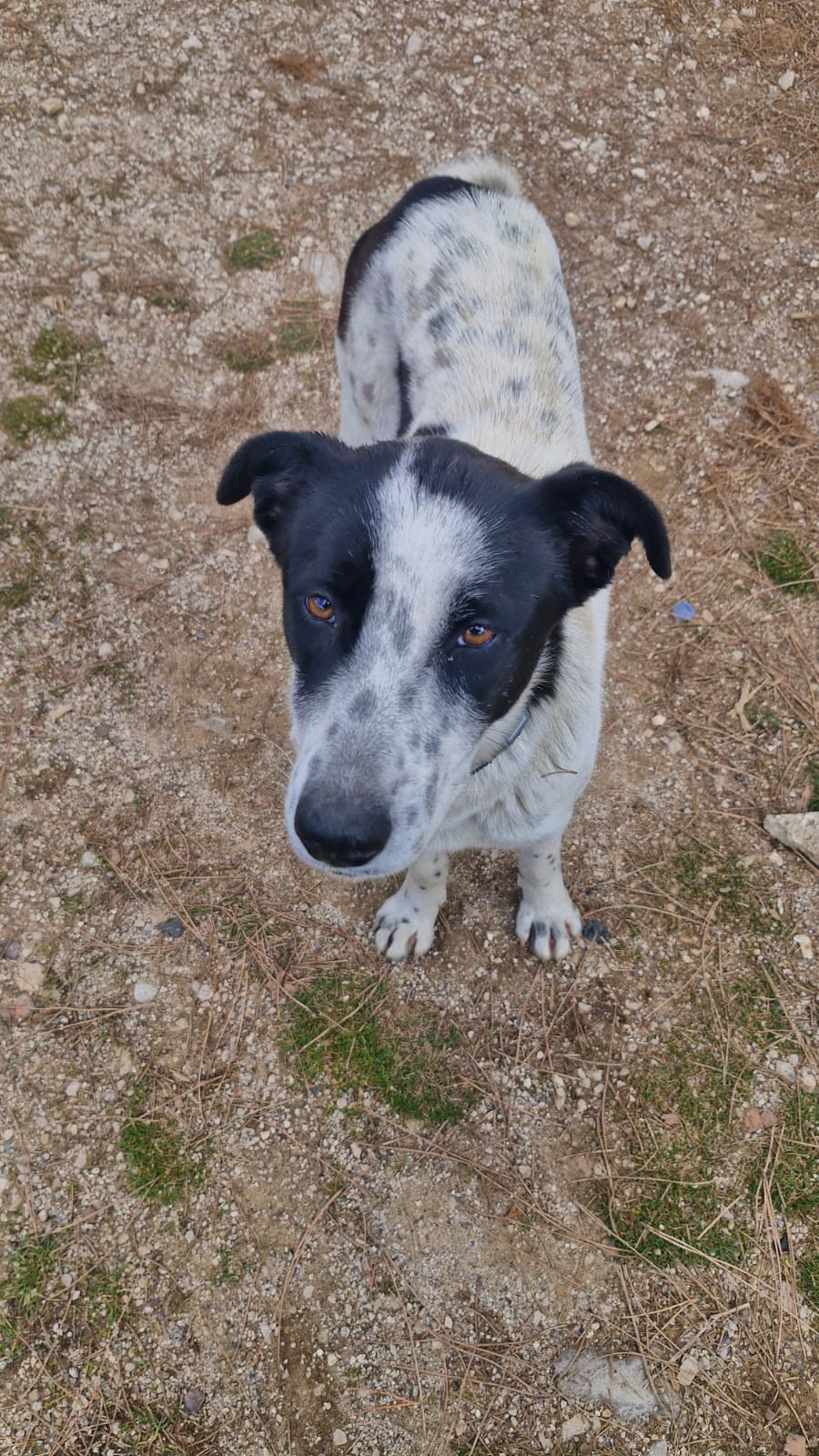 WhatsApp Image 2025-09-26 at 21.01.13