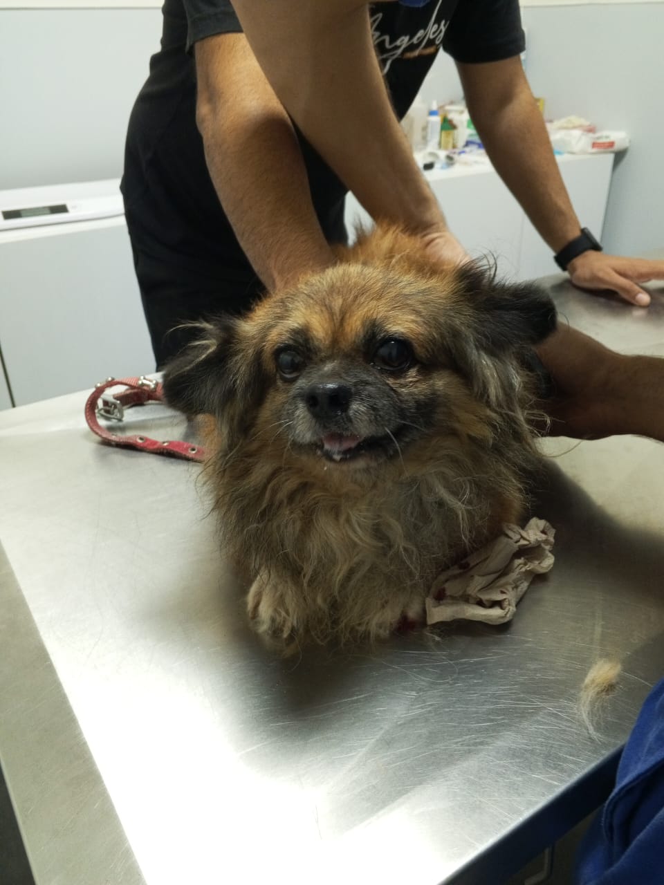 WhatsApp Image 2025-10-07 at 07.36.45 (1)