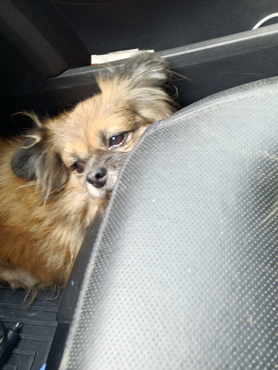 WhatsApp Image 2025-10-07 at 07.36.45