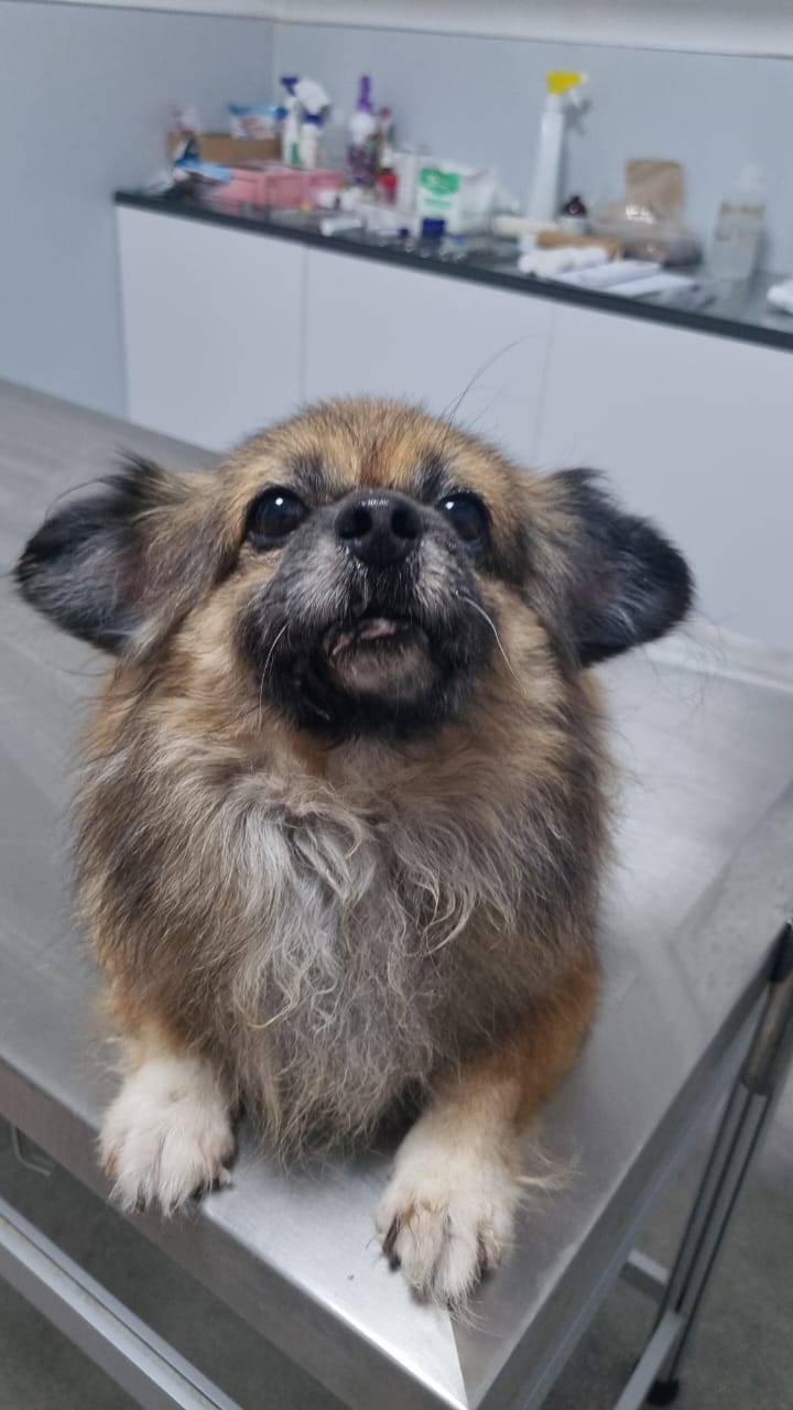 WhatsApp Image 2025-10-07 at 07.36.46