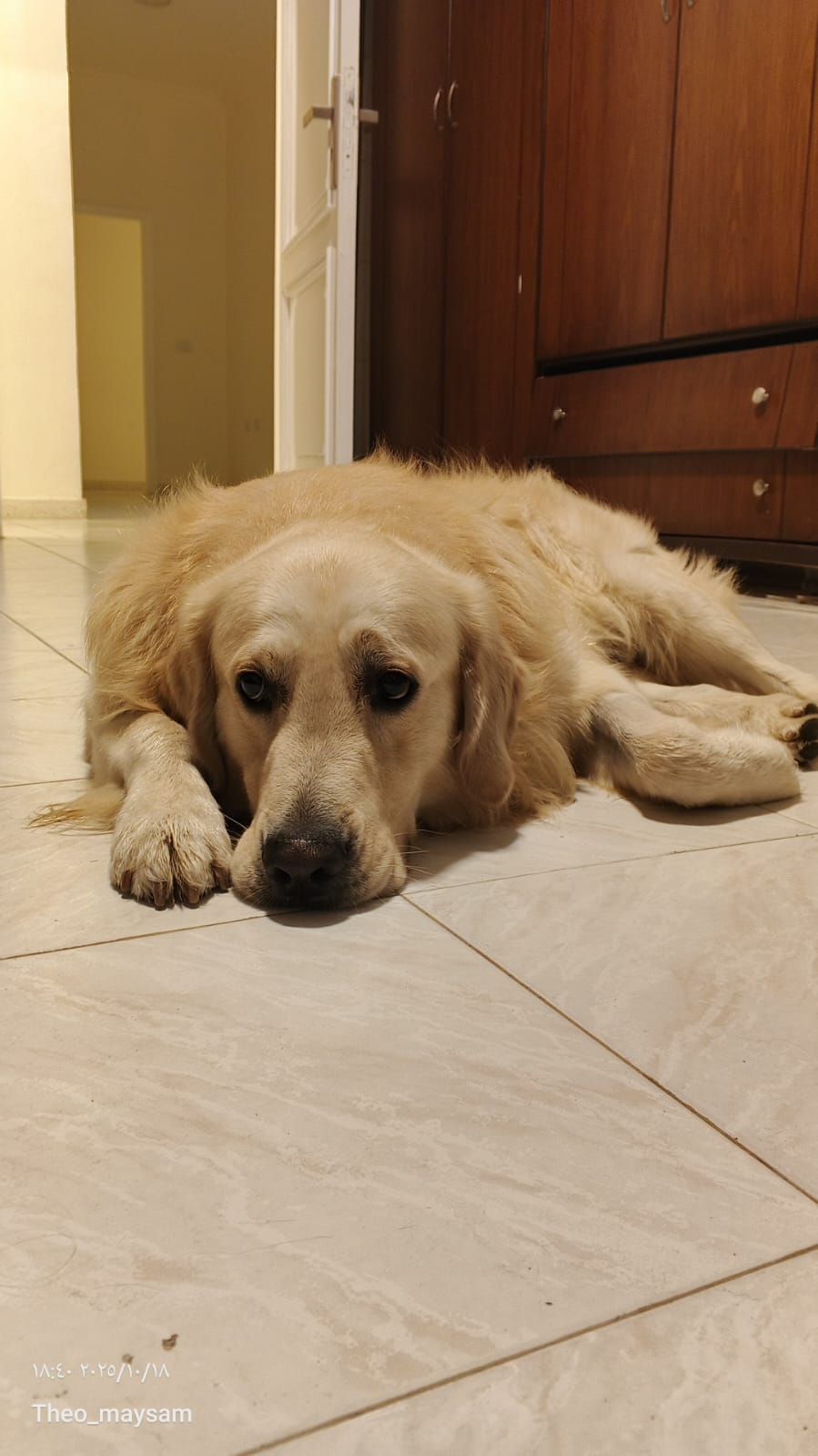 WhatsApp Image 2025-10-18 at 18.03.55