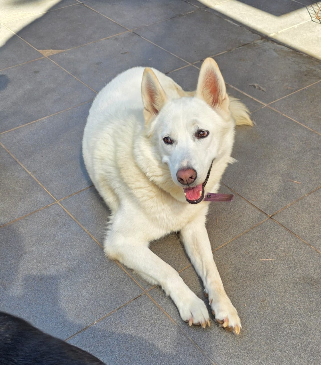 WhatsApp Image 2025-10-21 at 22.27.44