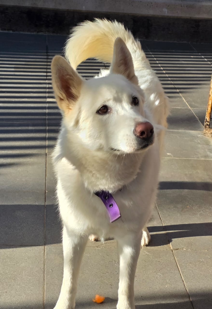 WhatsApp Image 2025-10-21 at 22.27.45