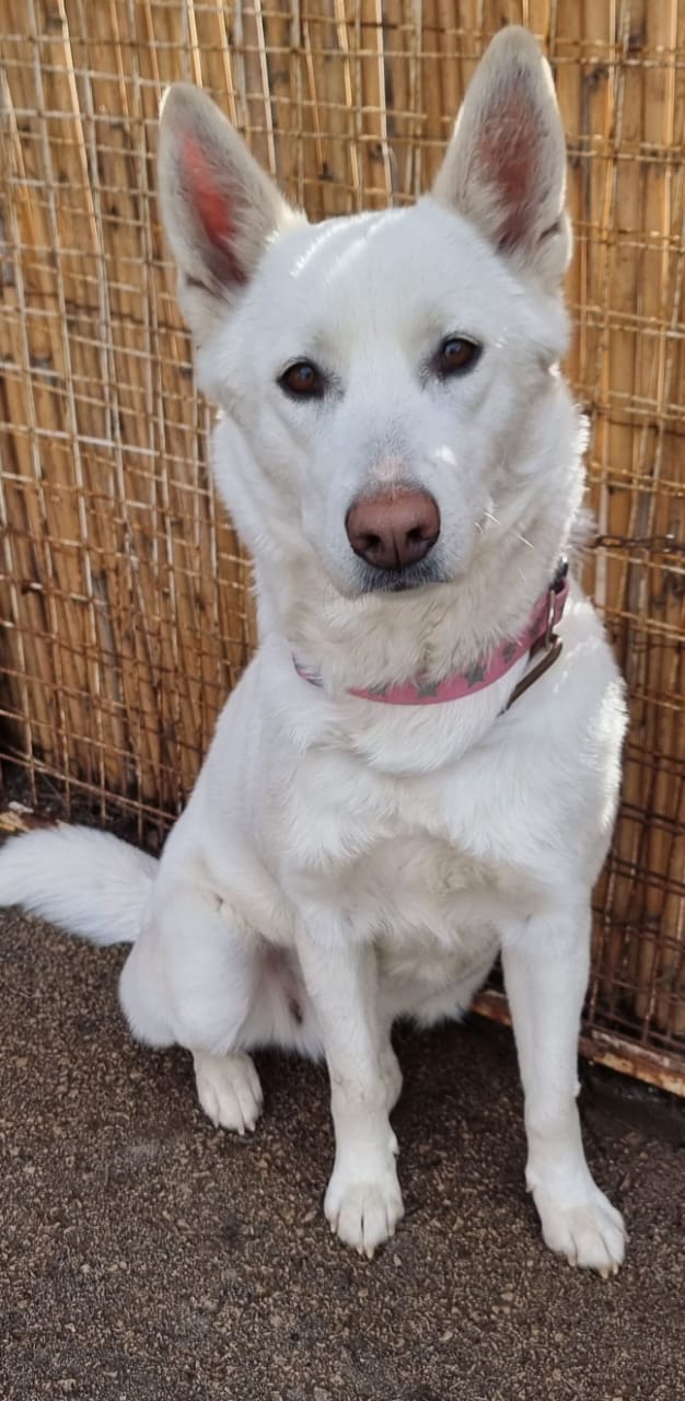 WhatsApp Image 2025-10-21 at 22.27.46 (1)