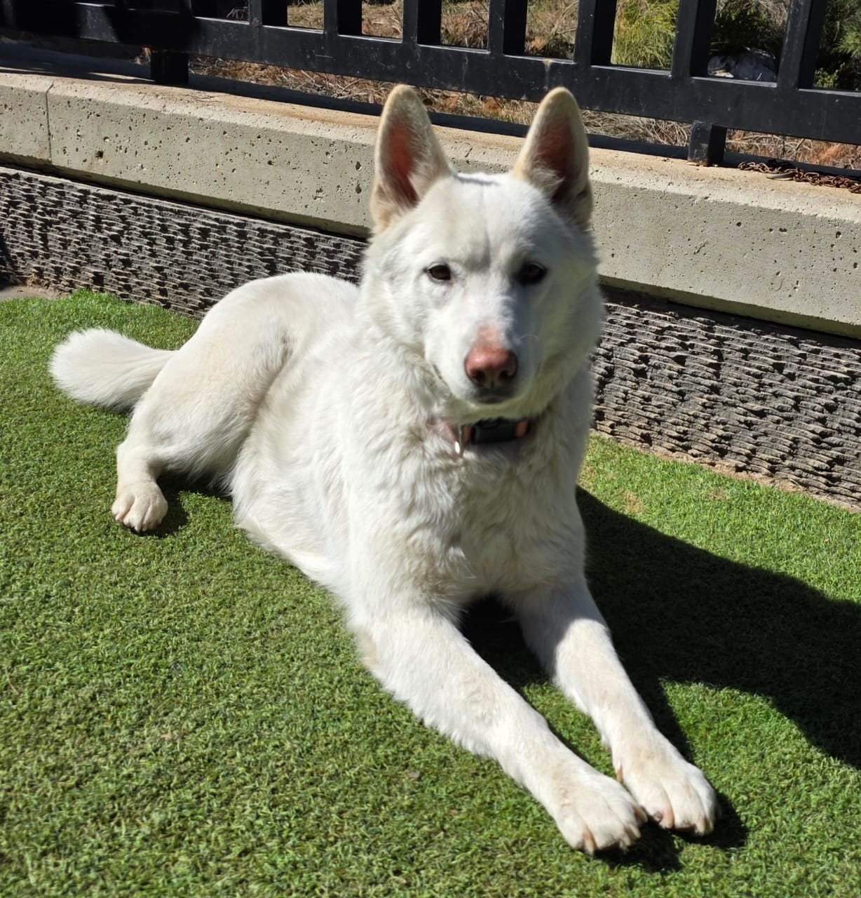 WhatsApp Image 2025-10-21 at 22.27.46 (3)