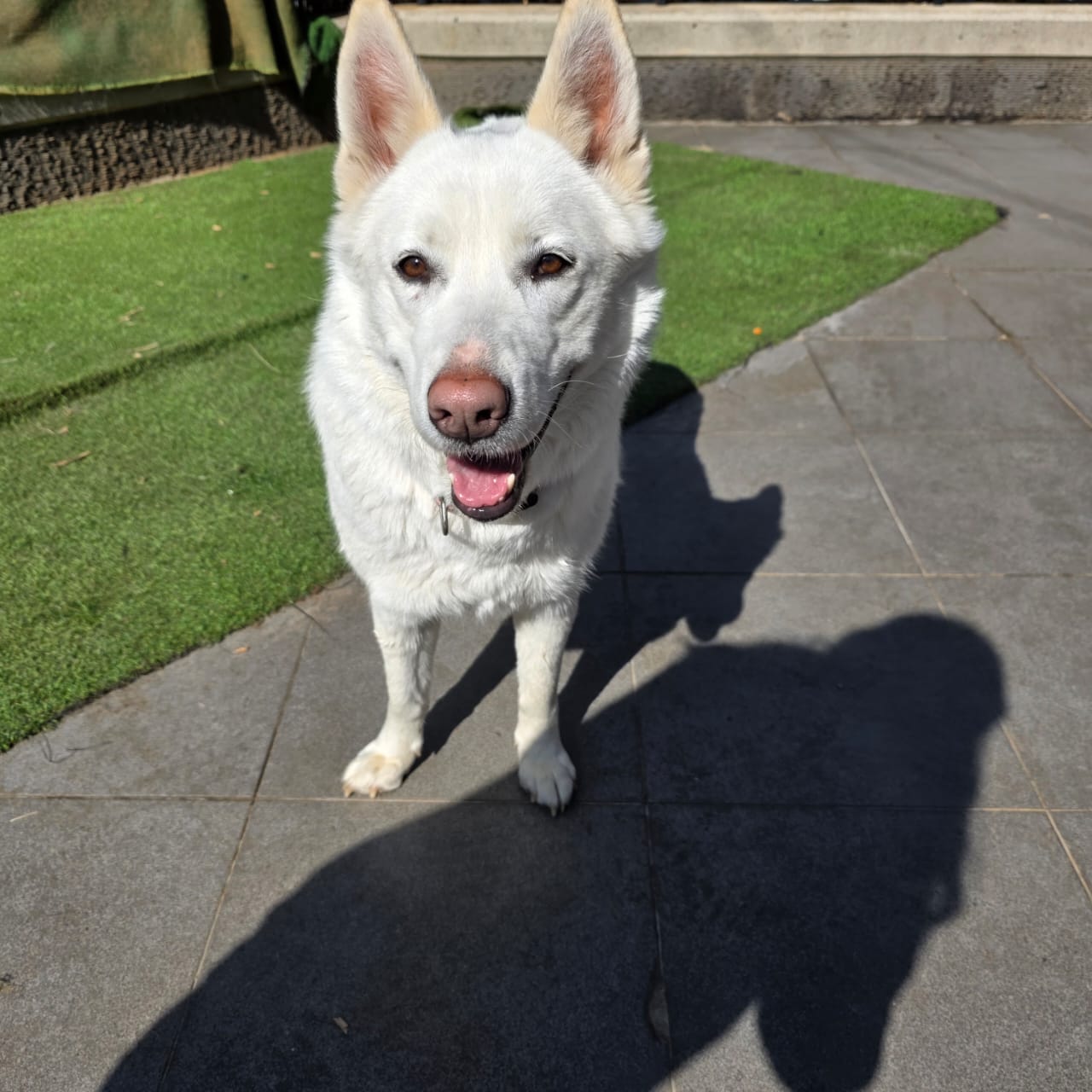 WhatsApp Image 2025-10-21 at 22.27.47 (1)