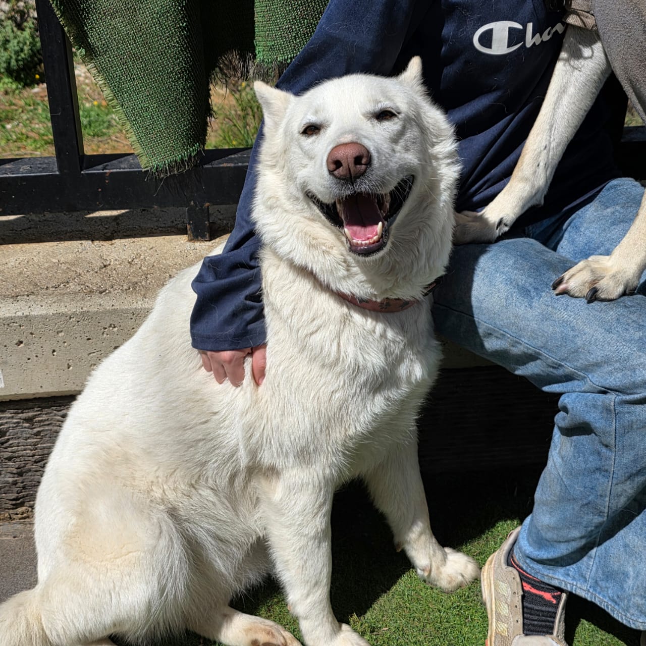 WhatsApp Image 2025-10-21 at 22.27.47 (3)