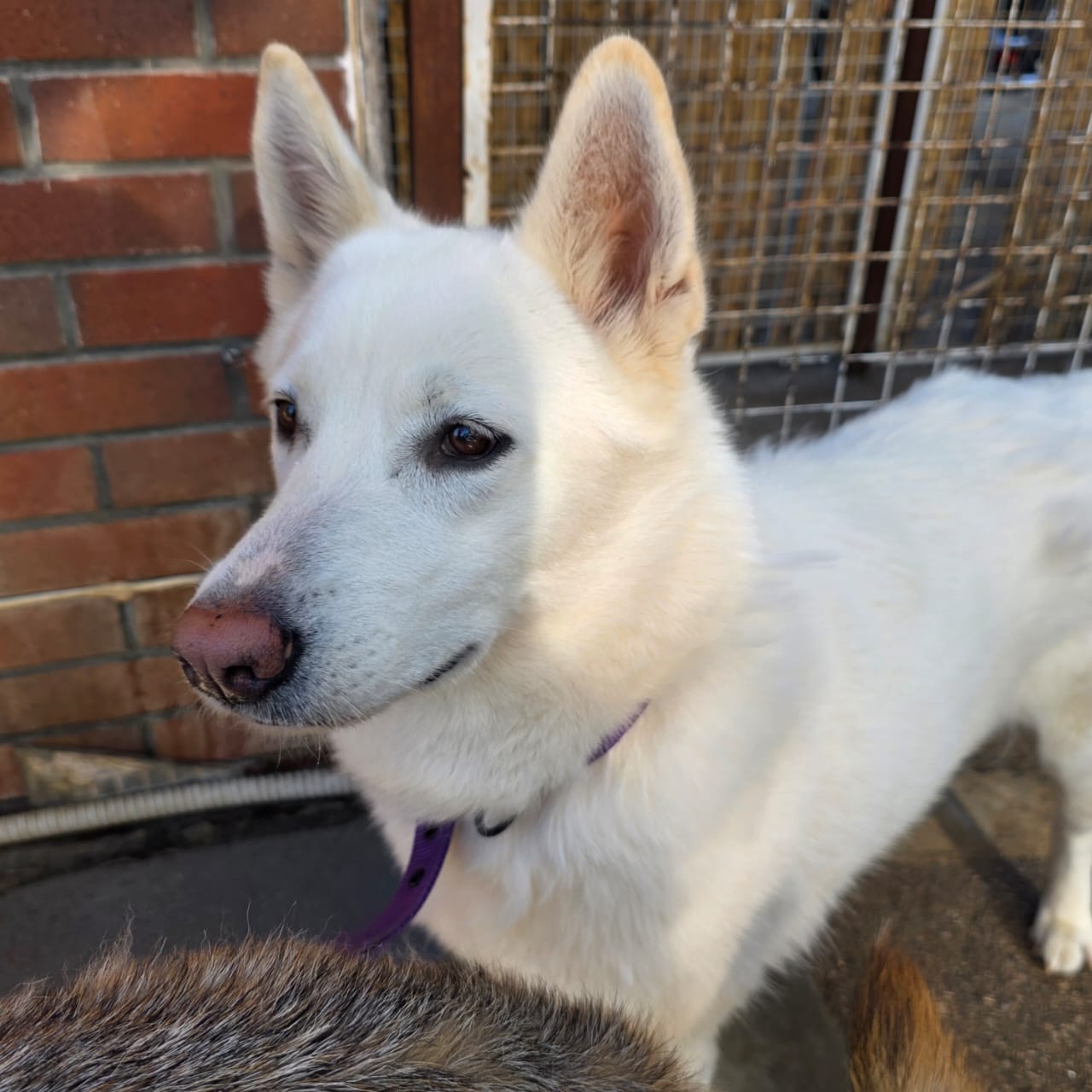 WhatsApp Image 2025-10-21 at 22.27.47 (4)