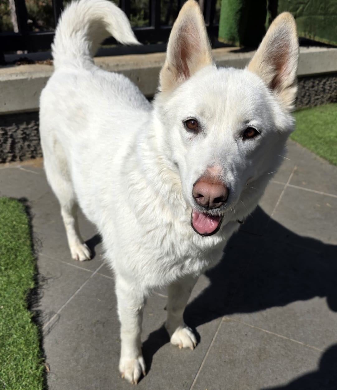 WhatsApp Image 2025-10-21 at 22.27.47