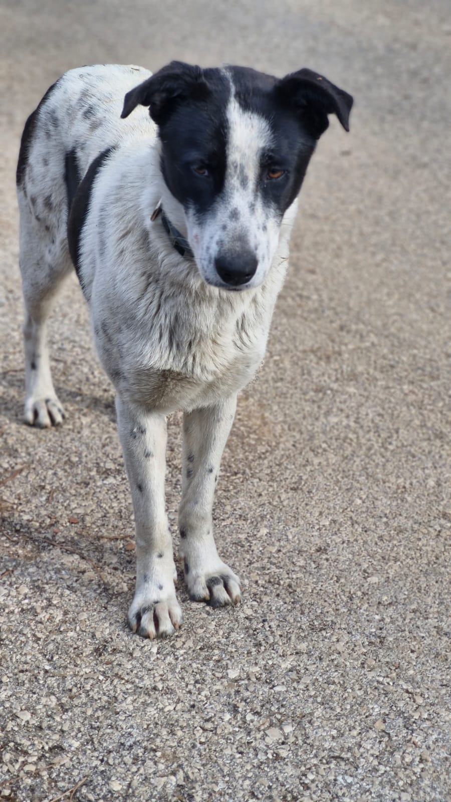 WhatsApp Image 2025-10-22 at 19.38.36 (1)