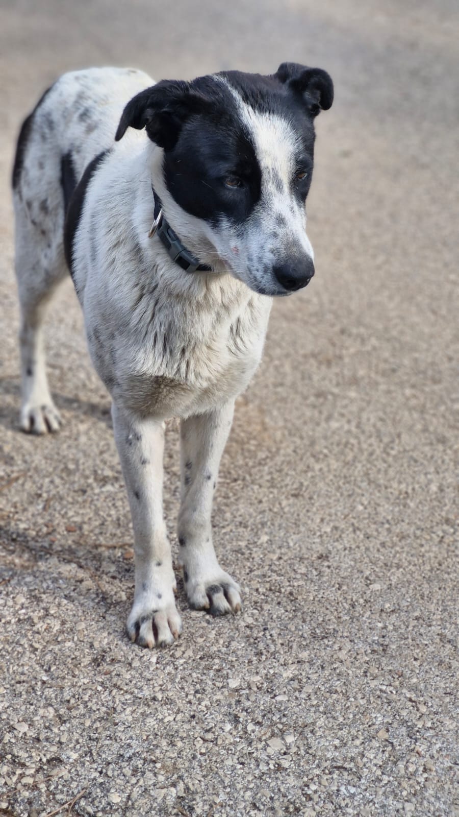 WhatsApp Image 2025-10-22 at 19.38.36