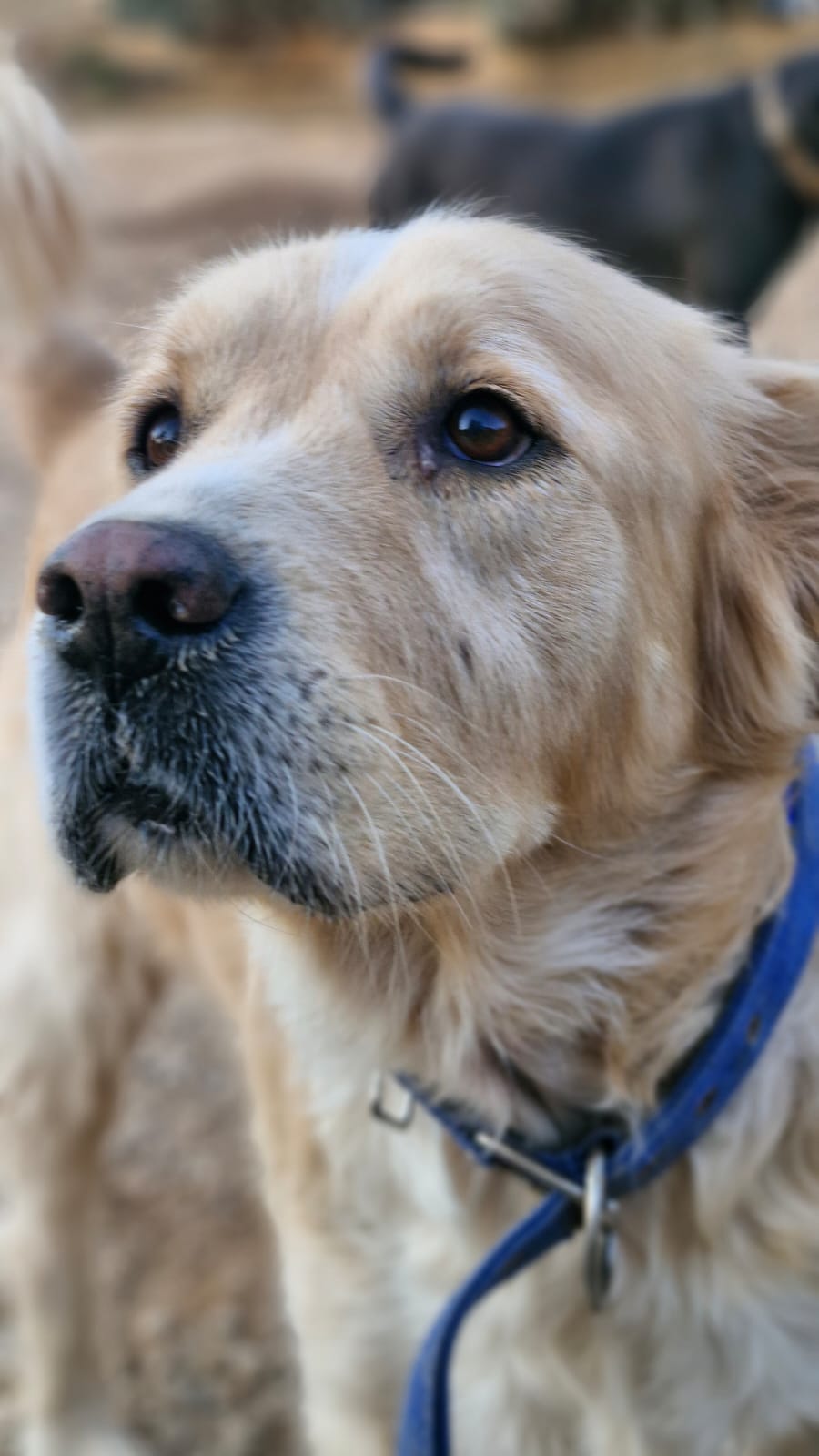 WhatsApp Image 2025-10-24 at 16.22.09 (3)