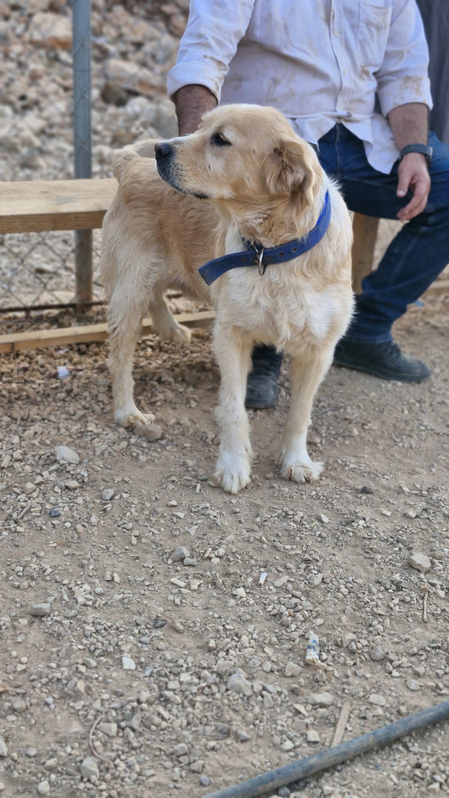 WhatsApp Image 2025-10-24 at 16.22.10 (1)