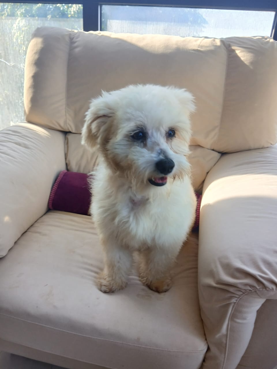 WhatsApp Image 2025-10-31 at 13.30.56