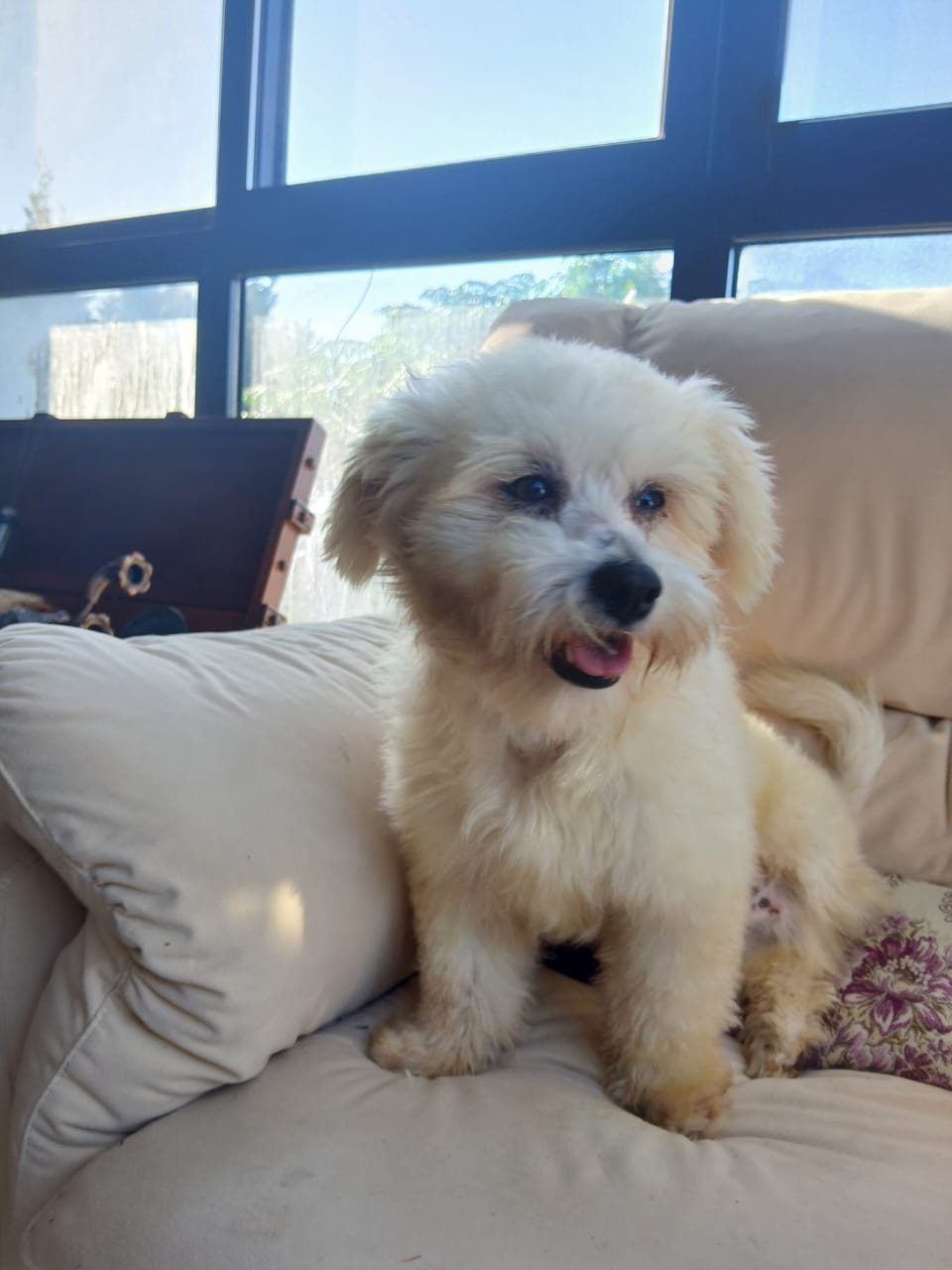 WhatsApp Image 2025-10-31 at 13.30.57 (1)