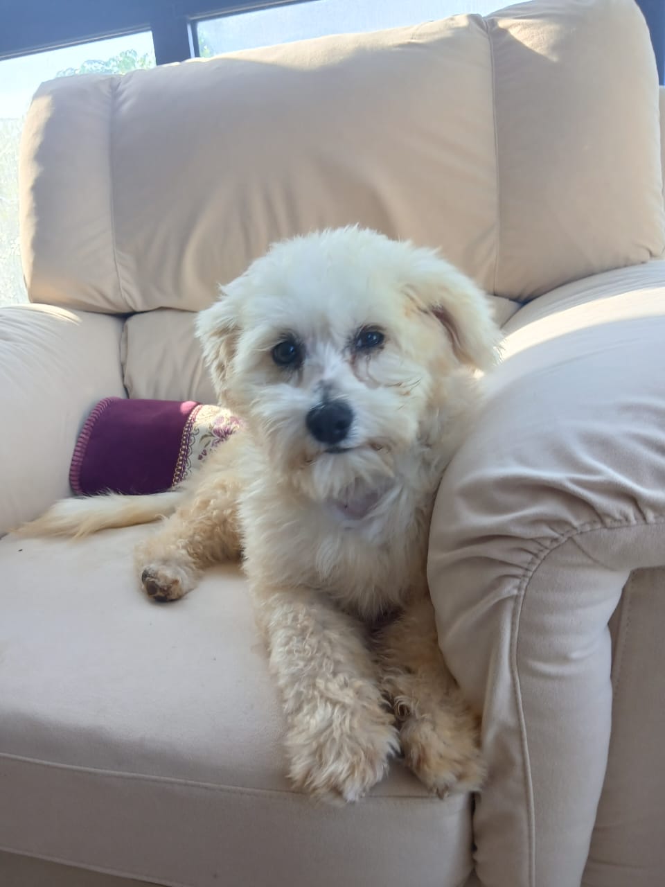 WhatsApp Image 2025-10-31 at 13.30.57 (2)