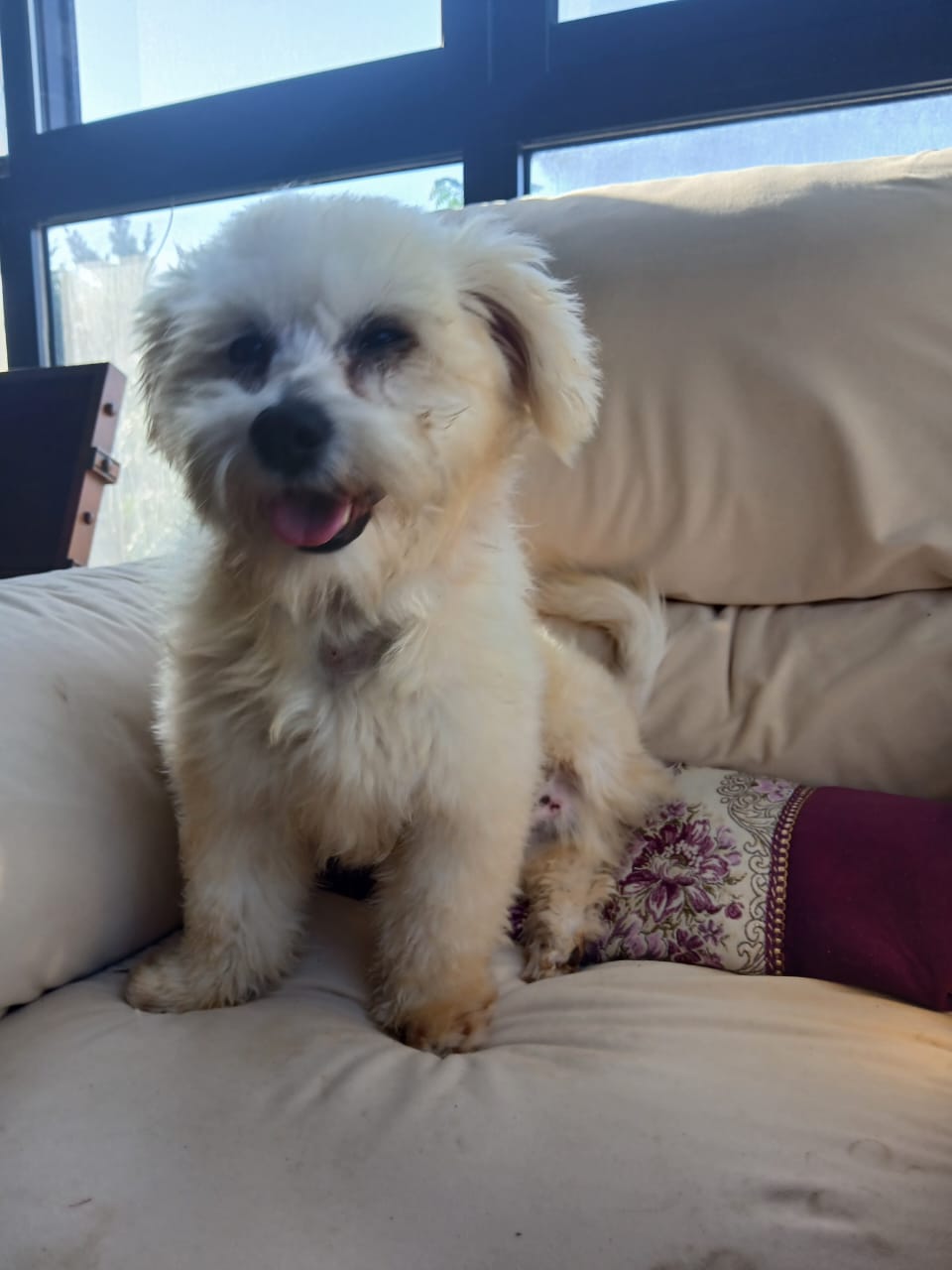 WhatsApp Image 2025-10-31 at 13.30.57