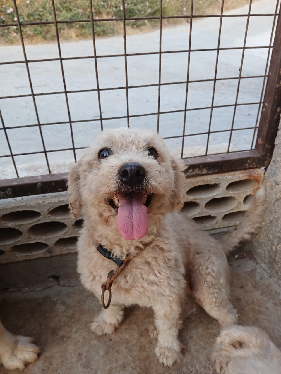 WhatsApp Image 2025-11-09 at 18.16.55