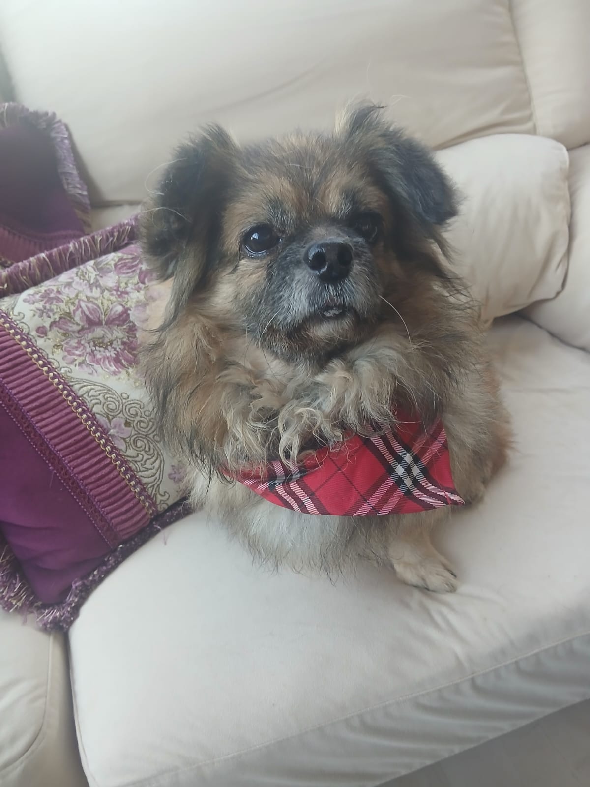 WhatsApp Image 2025-11-18 at 08.29.03