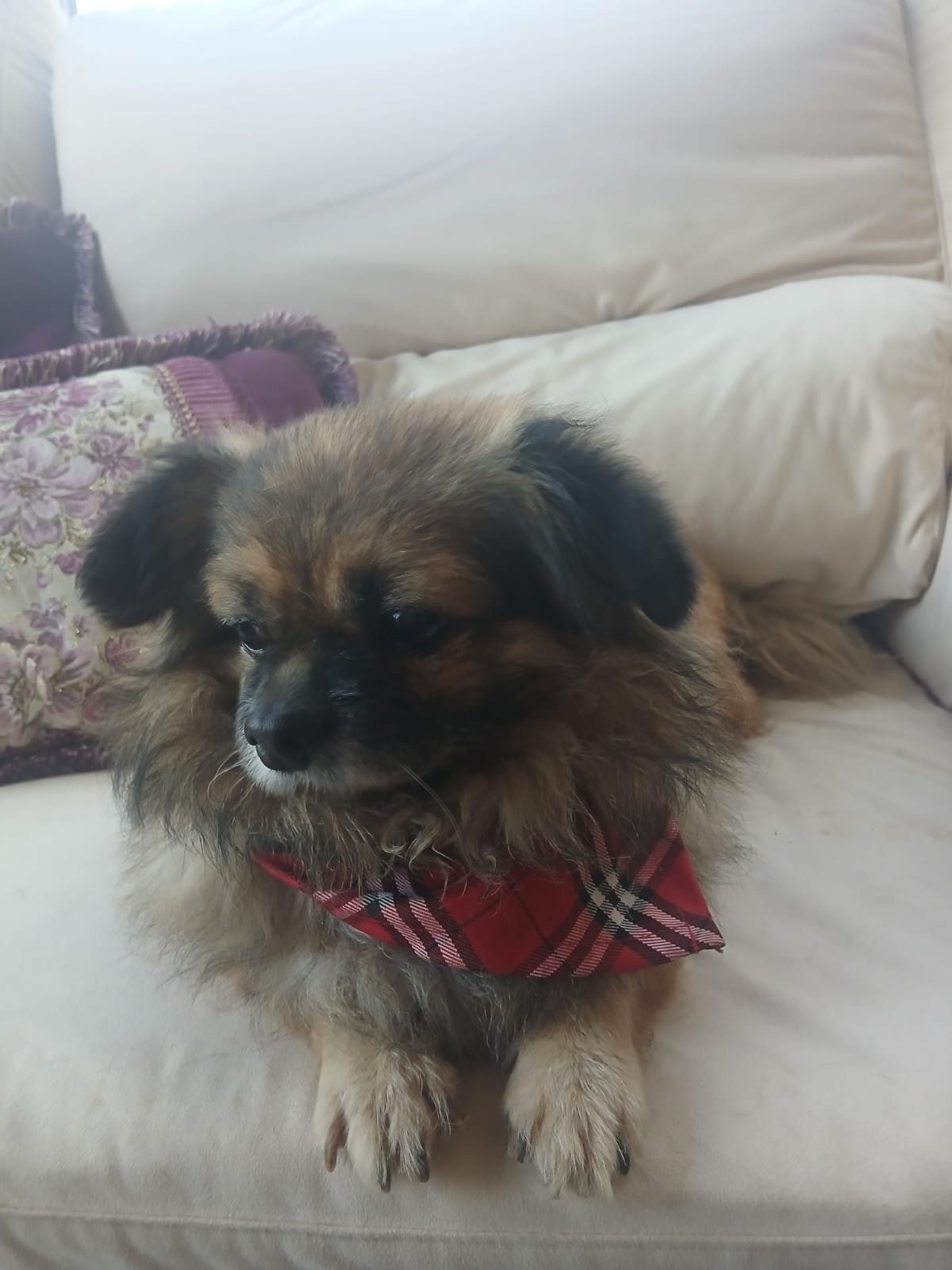 WhatsApp Image 2025-11-18 at 08.29.05 (2)