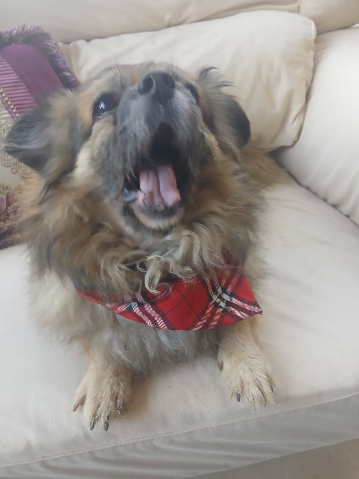 WhatsApp Image 2025-11-18 at 08.29.05 (3)