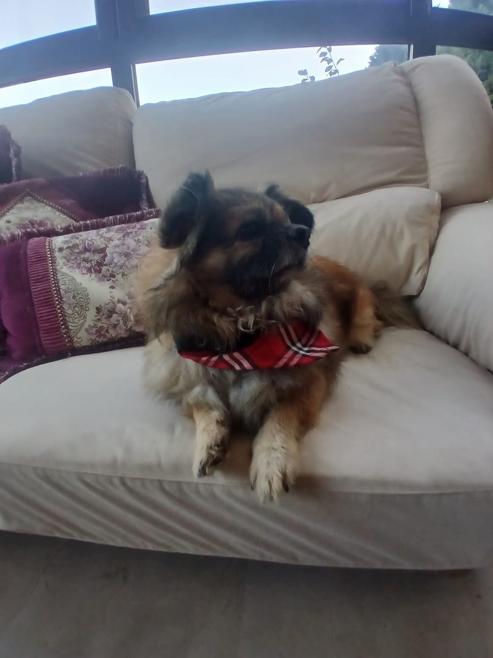 WhatsApp Image 2025-11-18 at 08.29.05 (4)