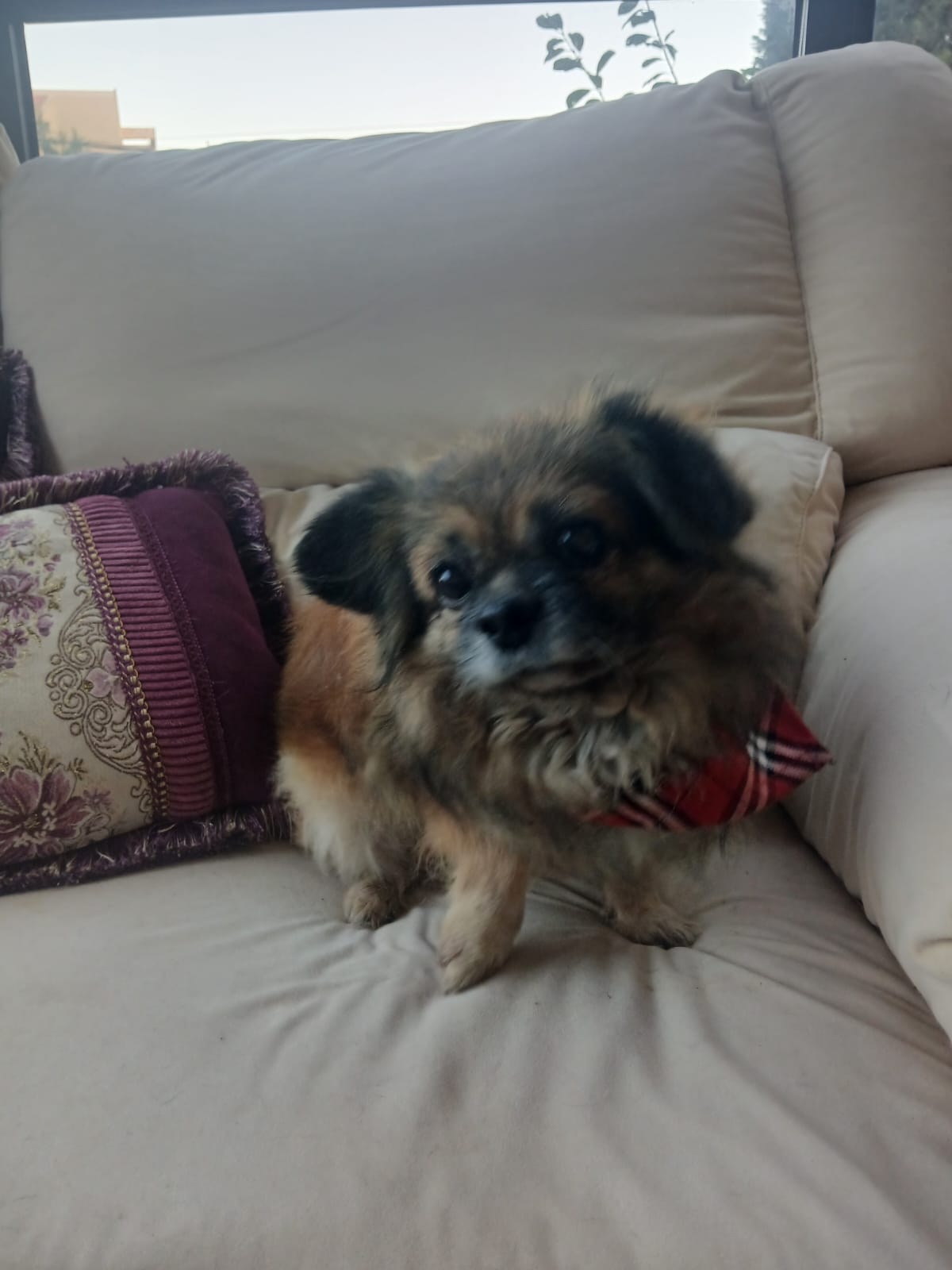 WhatsApp Image 2025-11-18 at 08.29.05