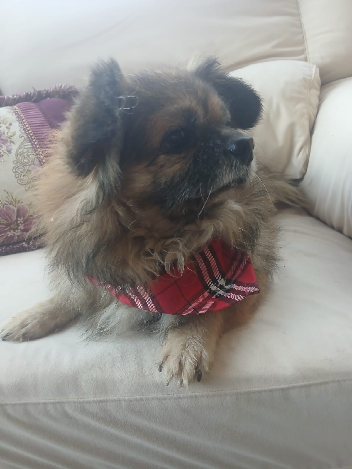 WhatsApp Image 2025-11-18 at 08.29.06